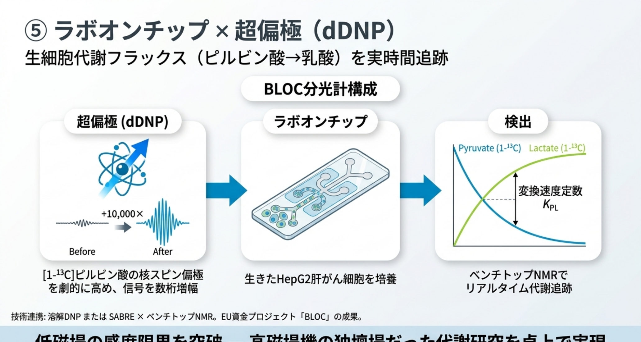 BLOC分光計によるラボオンチップ×dDNP超偏極の概念図：[1-¹³C]ピルビン酸を溶解DNPで超偏極→マイクロ流体デバイス内のHepG2生細胞でピルビン酸→乳酸変換を実時間追跡・速度定数K_PLを算出（Anal. Chem. 2026）