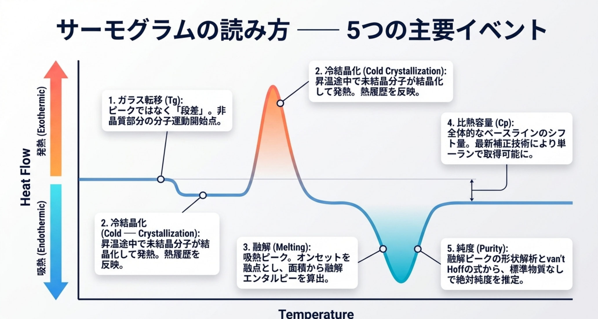 DSCサーモグラムの5主要イベント図解：ガラス転移（段差）・融解（吸熱ピーク・オンセット）・結晶化・冷結晶化（発熱）・比熱（段差量）・純度（van't Hoff解析）