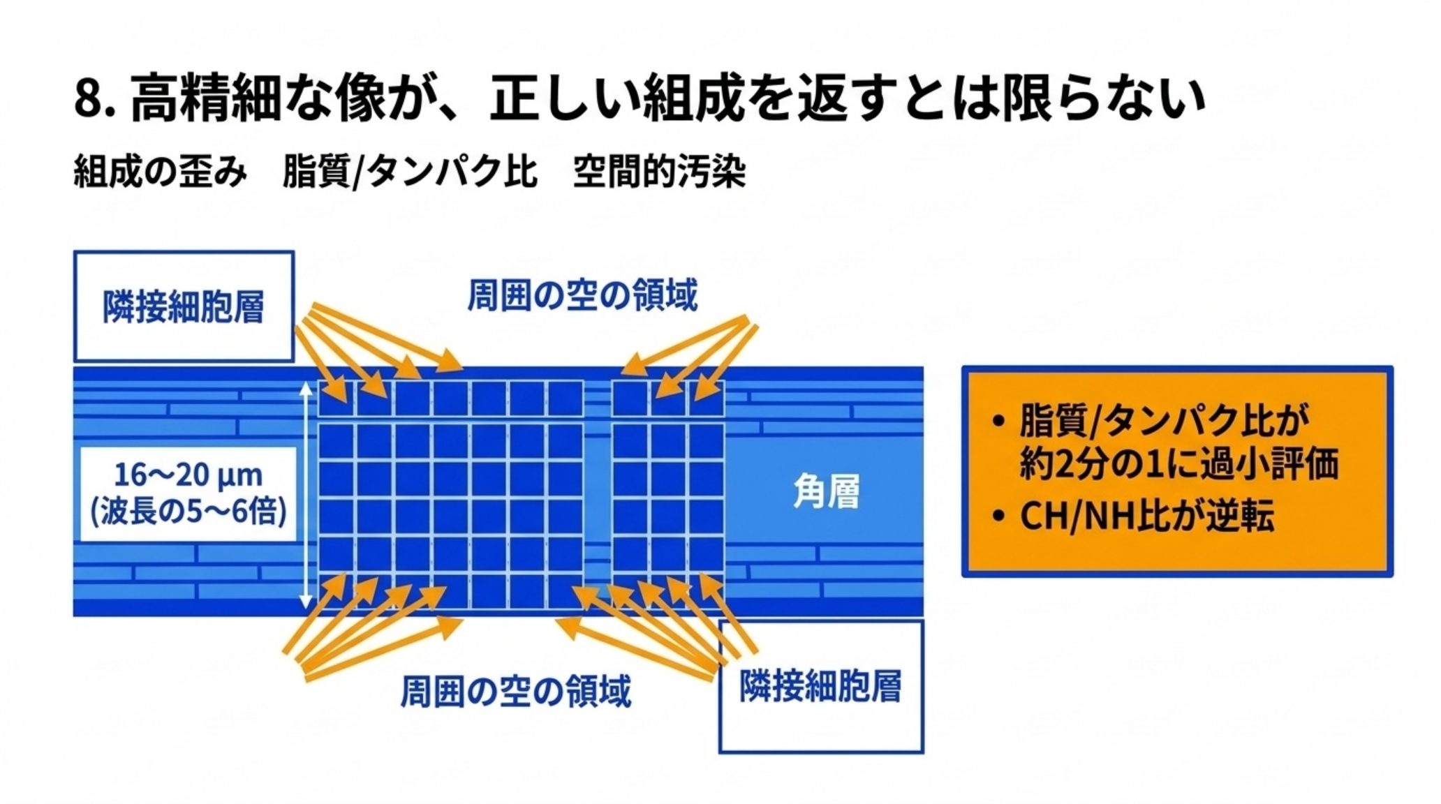 皮膚の角層の模式図。幅16〜20 µm（波長の5〜6倍）の層をFPAの画素格子で測ると、周囲の空の領域と隣接細胞層から回折で信号が入り込み、脂質/タンパク比が約2分の1に過小評価され、CH/NH比が逆転する