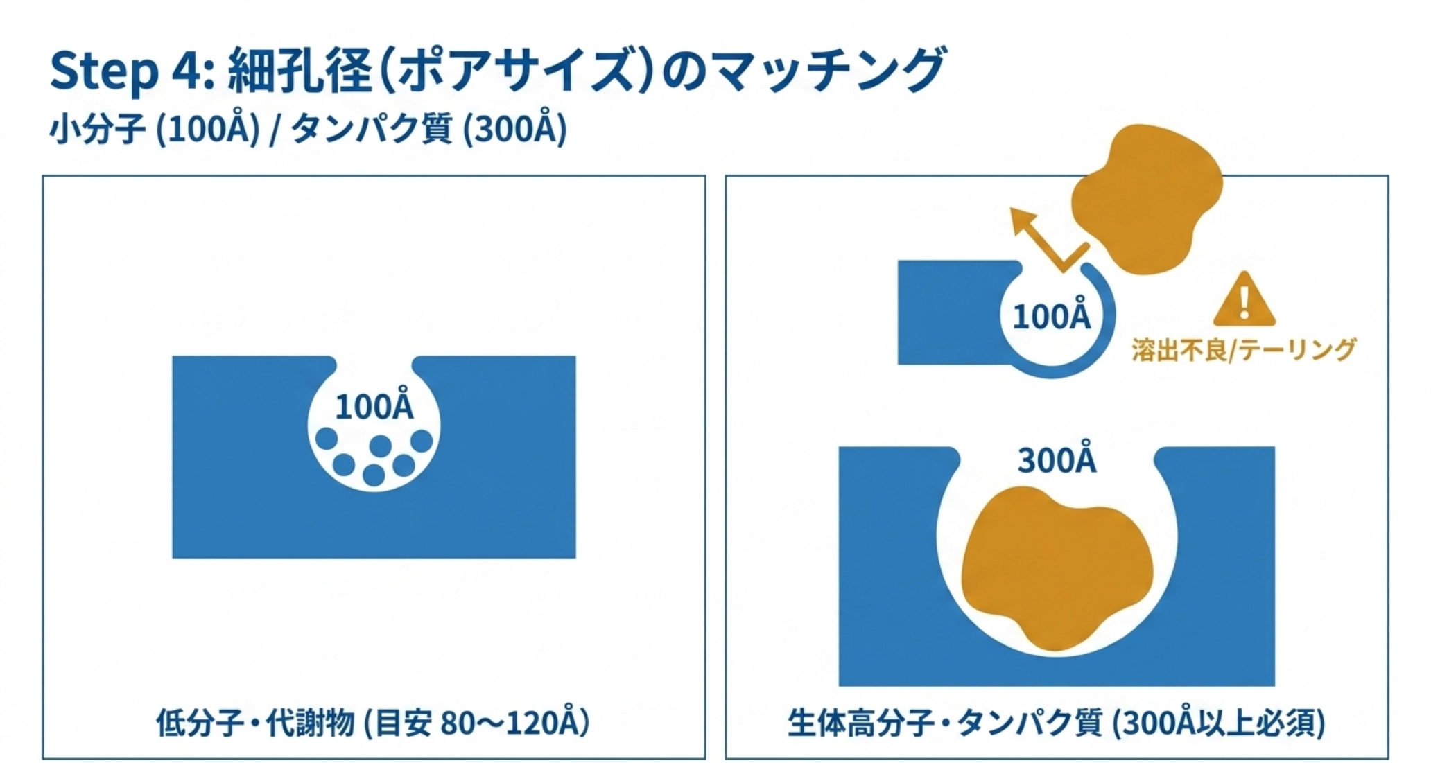 分子サイズと細孔径のマッチングを示す図解