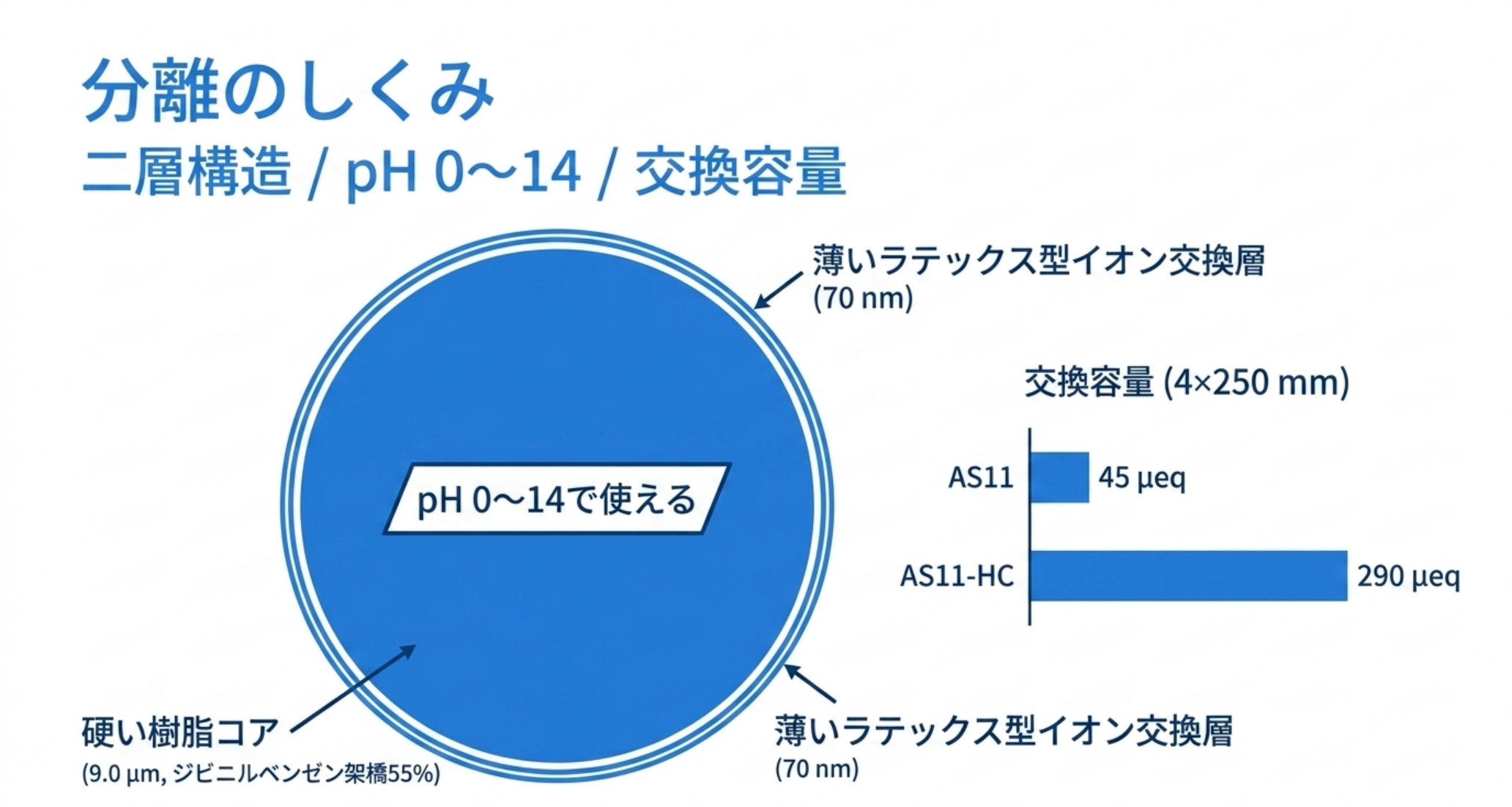 硬い樹脂コアと薄いラテックス型イオン交換層の二層構造、および交換容量の比較を示した図解