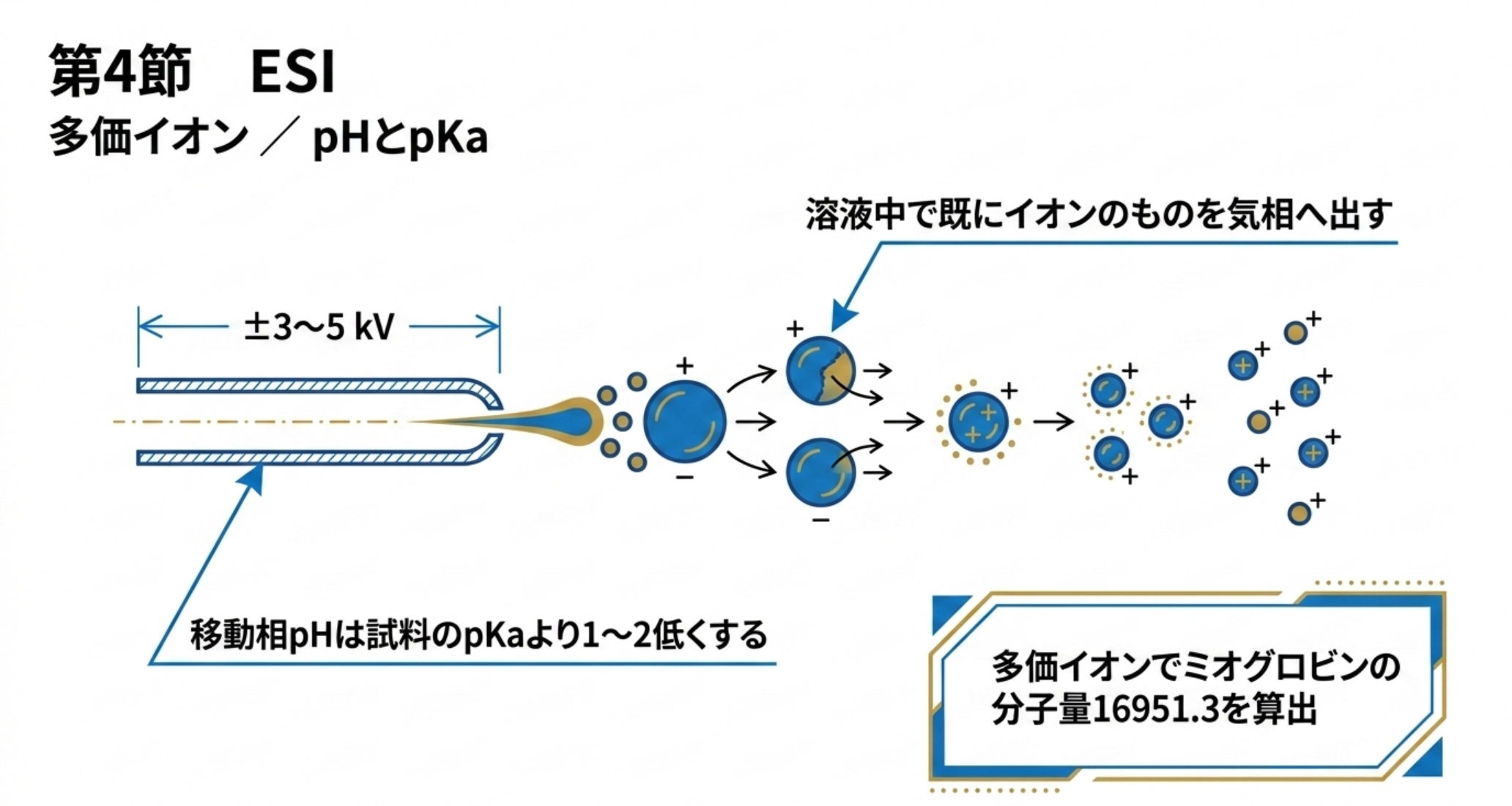 ESIのイオン化過程と移動相pHの指針を示した図解