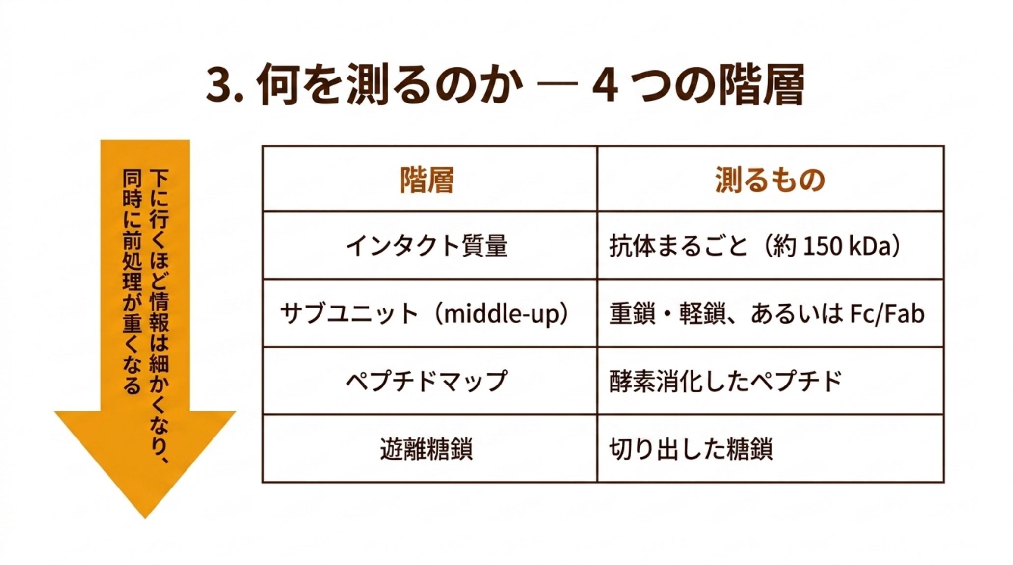 抗体医薬の LC-MS 解析における4つの階層を示す表。インタクト質量は抗体まるごと約150 kDa、サブユニット（middle-up）は重鎖・軽鎖あるいは Fc/Fab、ペプチドマップは酵素消化したペプチド、遊離糖鎖は切り出した糖鎖を測る。下に行くほど情報は細かくなり、同時に前処理が重くなる
