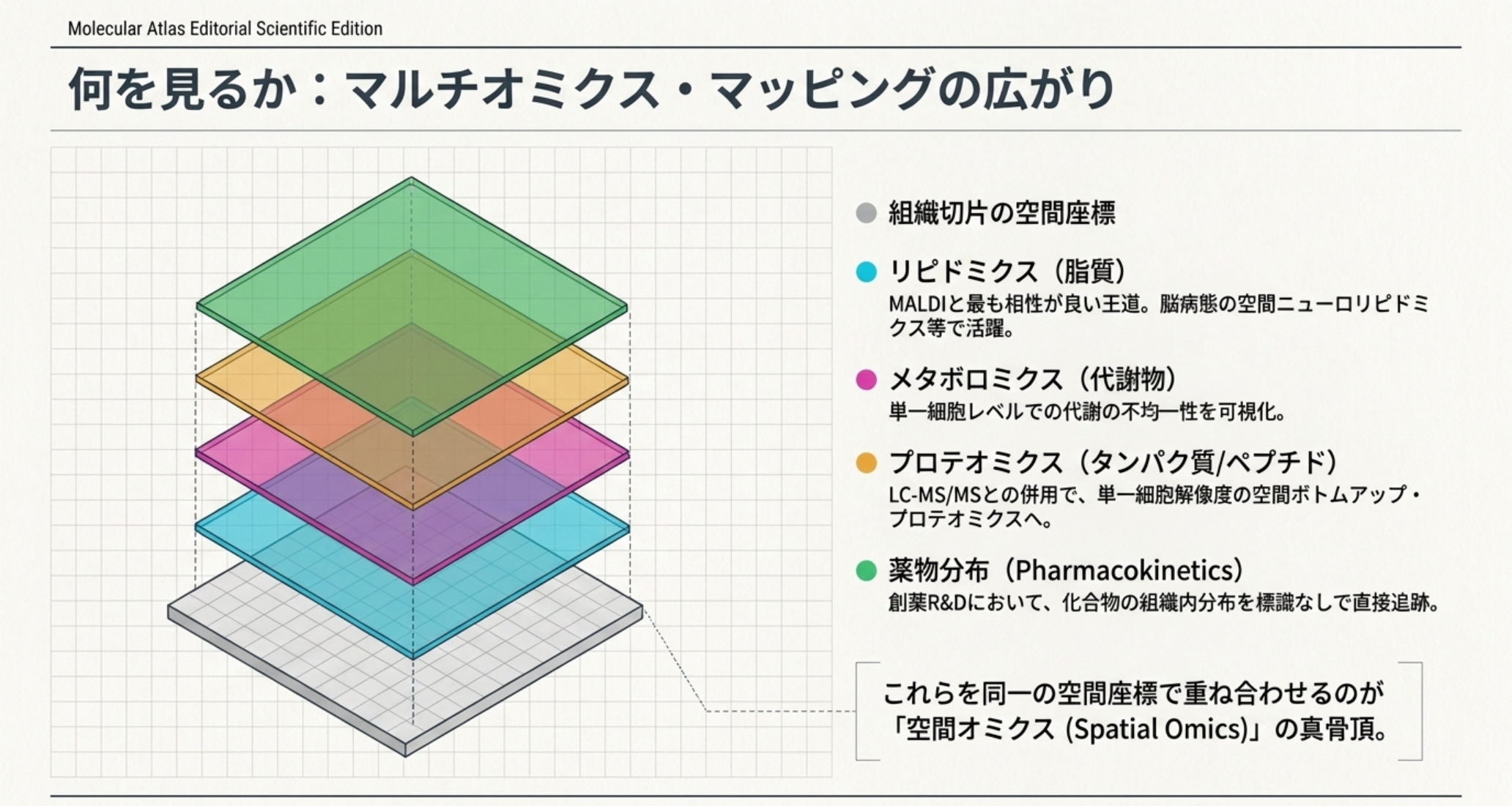 図解：マルチオミクス・マッピング。リピドミクス・メタボロミクス・プロテオミクス・薬物分布を同一の空間座標で重ね合わせる