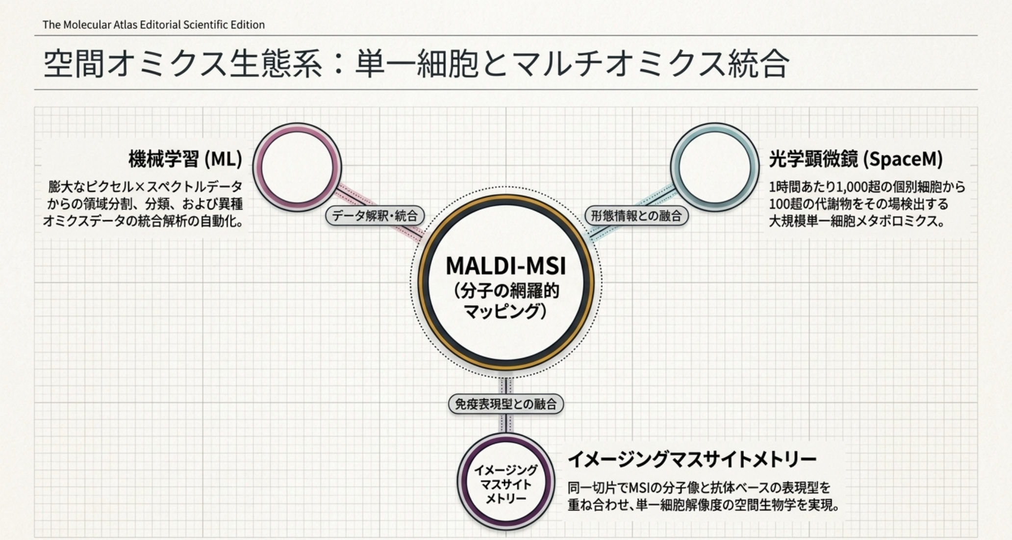 図解：MALDI-MSIを核に、機械学習・SpaceM（光学顕微鏡）・イメージングマスサイトメトリーを融合する空間オミクス生態系