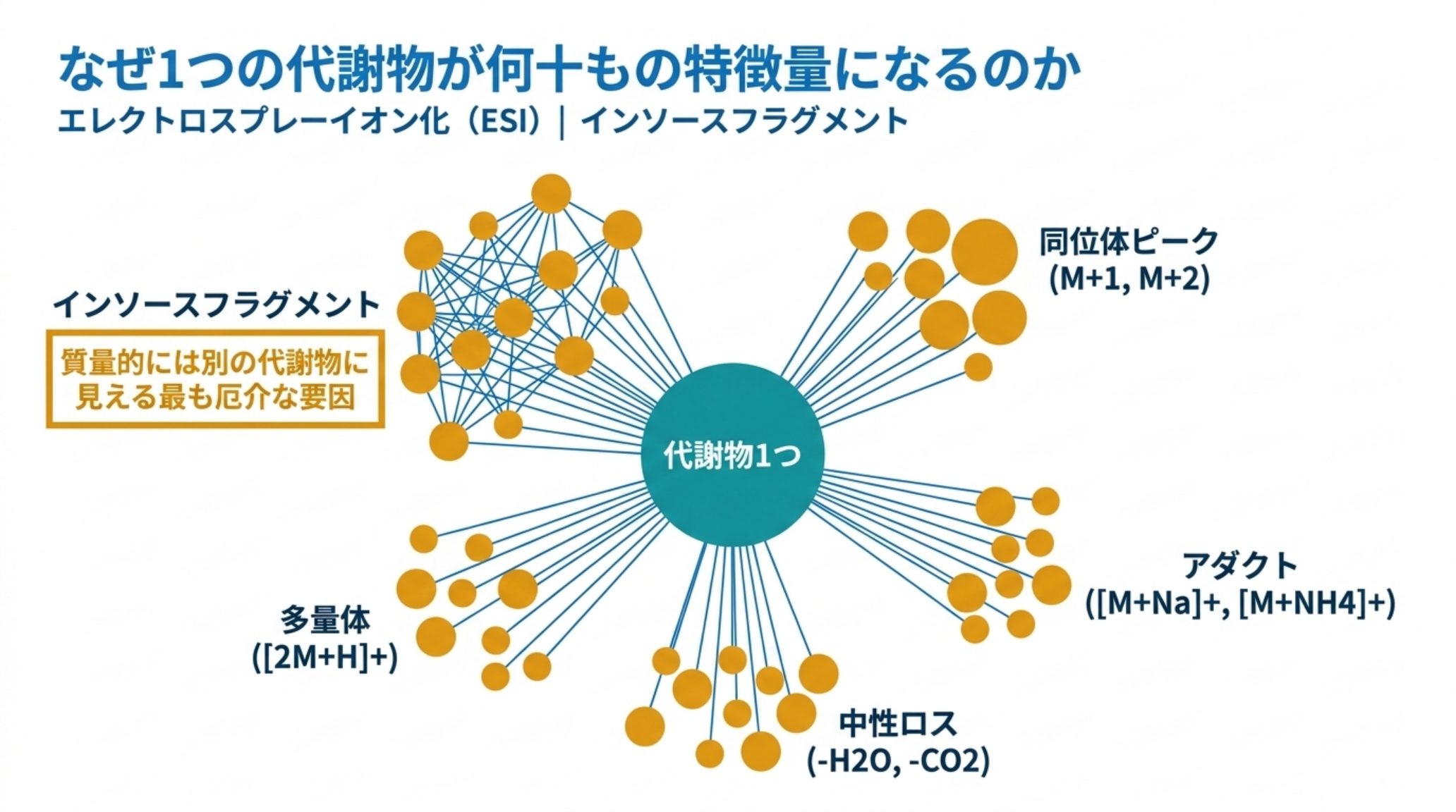 1つの代謝物が同位体・アダクト・中性ロス・多量体・インソースフラグメントに分裂する様子の図解