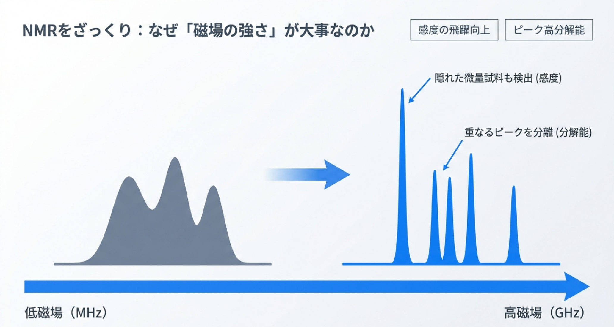 図解：磁場が強いほど感度（微量検出）と分解能（重なるピークの分離）が上がる。低磁場のブロードなスペクトルが高磁場で鋭く分離される