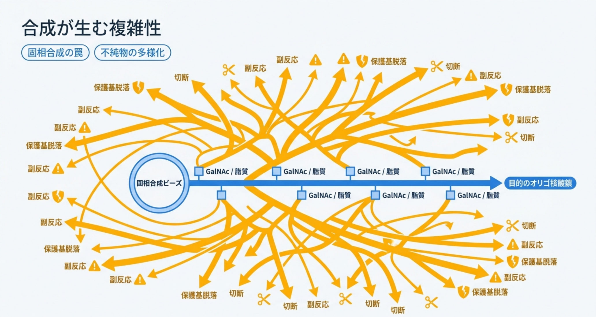 図解：合成が生む複雑性。固相合成で目的のオリゴ核酸鎖を伸ばす過程で、切断・副反応・保護基脱落など多様な不純物が生じる