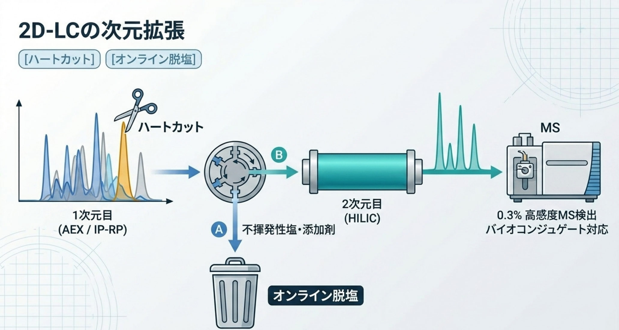 図解：2D-LC。AEX/IP-RP×HILICのハートカットで、HILICがオンライン脱塩しつつ高分解能を与え、0.3%級まで特性解析