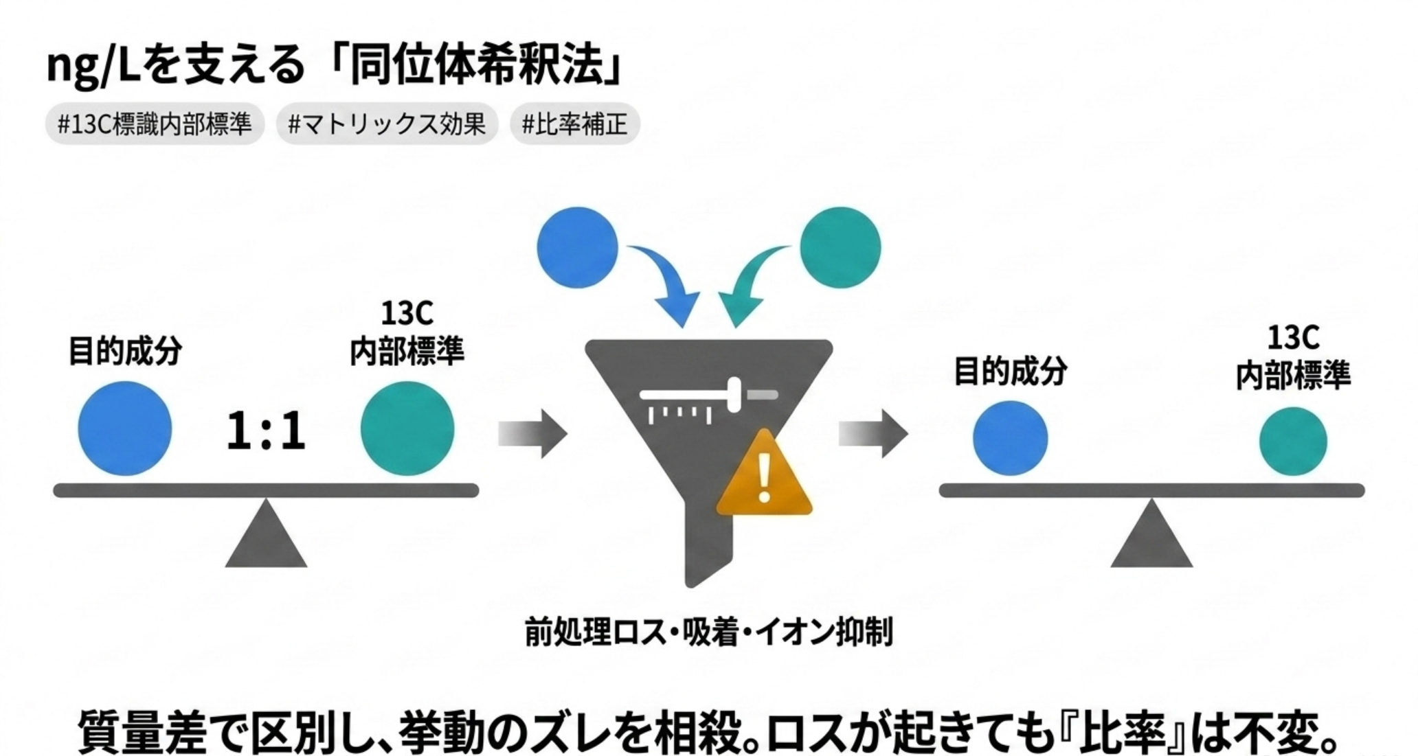 13C標識内部標準による同位体希釈法の原理を示す図解