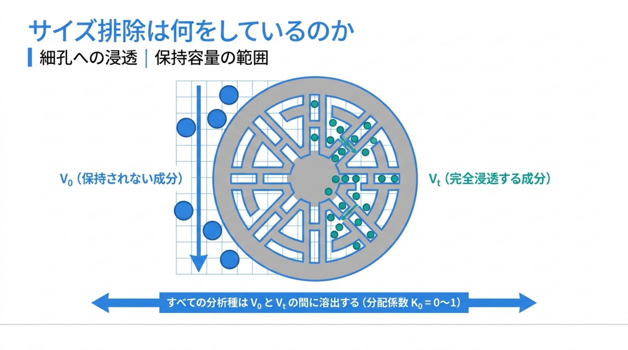 サイズ排除の模式図。細孔より大きい分子は粒子間の隙間を通って保持容量V0に速く溶出し、小さい分子は細孔の奥まで浸透して遅く溶出する。すべての分析種はV0とVtの間、分配係数K0が0から1の範囲に溶出する