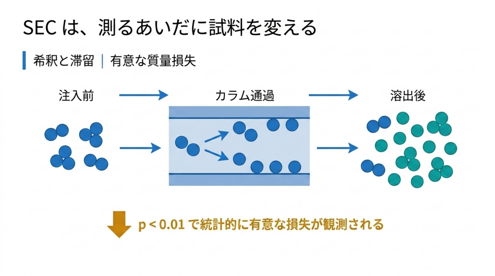 注入前・カラム通過・溶出後で試料の状態が変わる模式図。希釈と滞留により会合体が解離し、カラム通過によってp<0.01で統計的に有意な質量損失が観測される