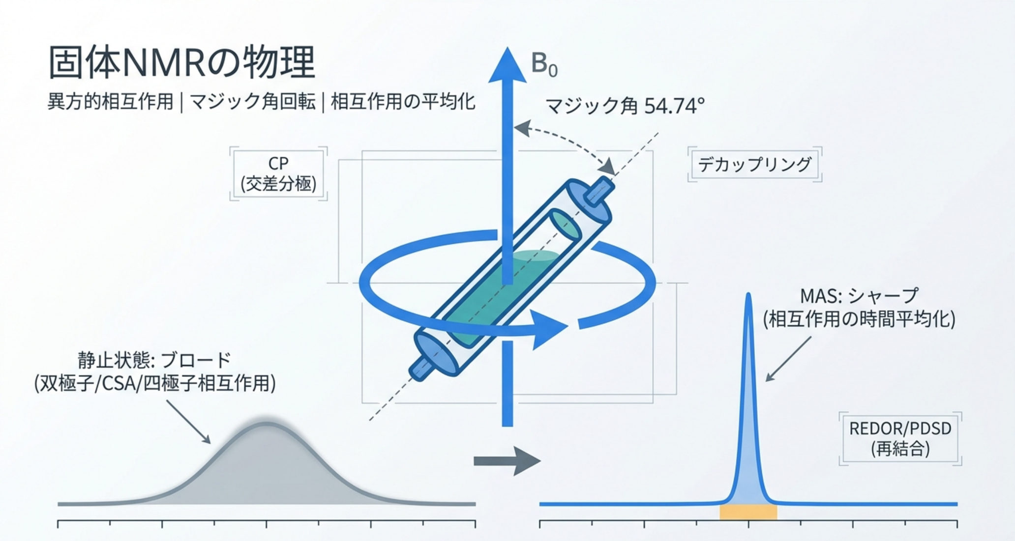 図解：固体NMRの物理。静止状態はブロード（双極子/CSA/四極子相互作用）、マジック角54.74°のMASでシャープに。CP・デカップリング・REDOR/PDSD
